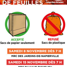 Collecte annuelle de feuilles