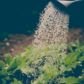 Sensibilisation à l'utilisation de l'eau potable