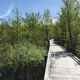 Maintien de la fermeture de la passerelle menant à l’observatoire du ruisseau Mc-Fee